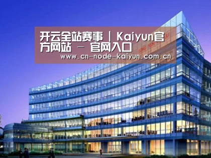 案例展示五