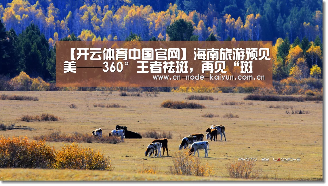开云体育中国官网