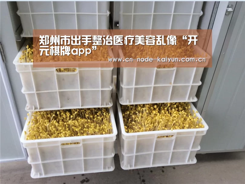 开元棋牌官网