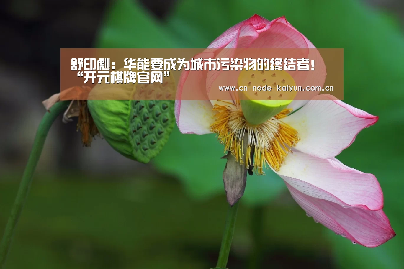 开元棋牌官网