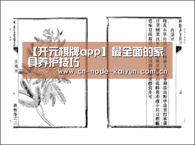 开元棋牌电脑版