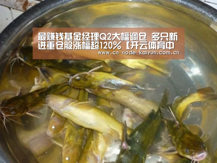开元棋牌app